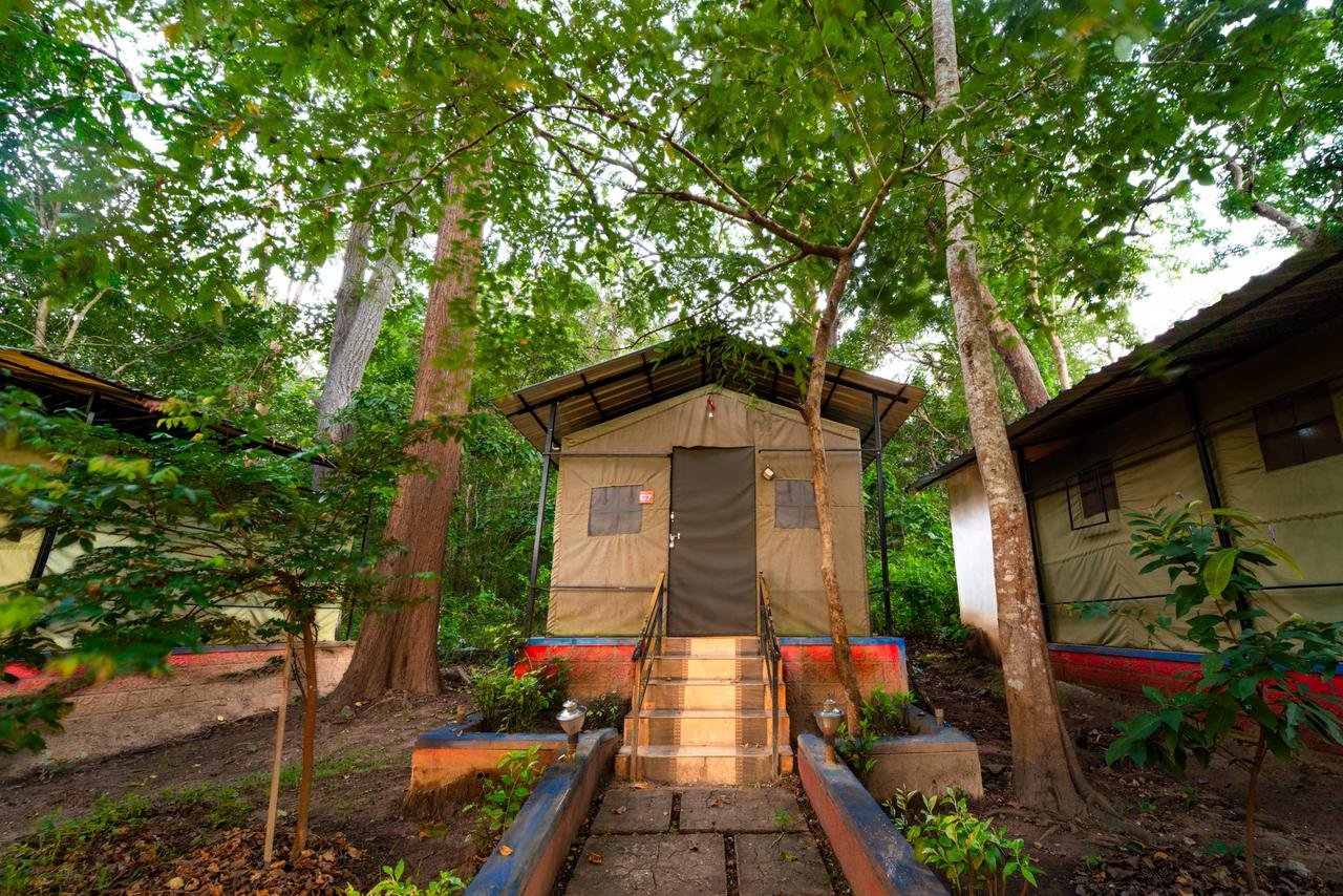 Jungle Breakfast Setup